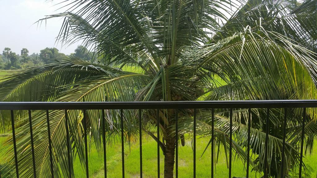 Serene View Tourist Rest Otel Anuradhapura Dış mekan fotoğraf