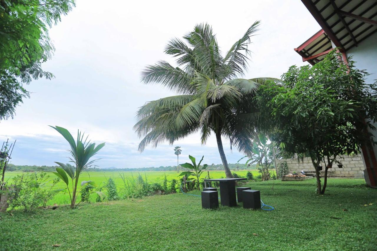 Serene View Tourist Rest Otel Anuradhapura Dış mekan fotoğraf